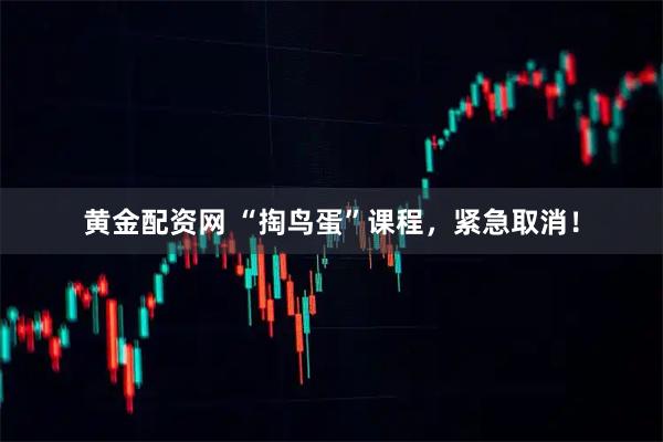 黄金配资网 “掏鸟蛋”课程，紧急取消！