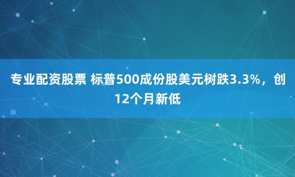 专业配资股票 标普500成份股美元树跌3.3%，创12个月新低