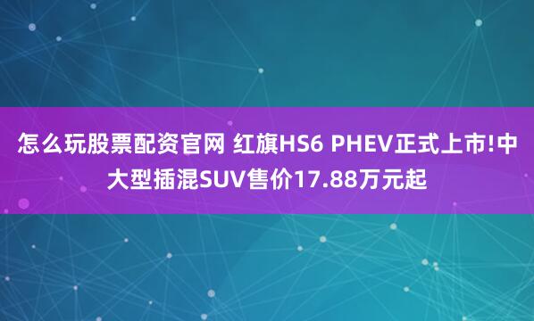 怎么玩股票配资官网 红旗HS6 PHEV正式上市!中大型插混SUV售价17.88万元起