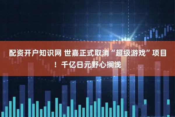 配资开户知识网 世嘉正式取消“超级游戏”项目！千亿日元野心搁浅